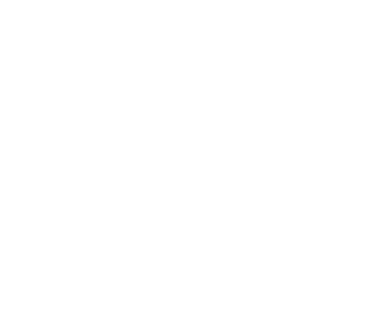 Chapuzón de los Fiordos